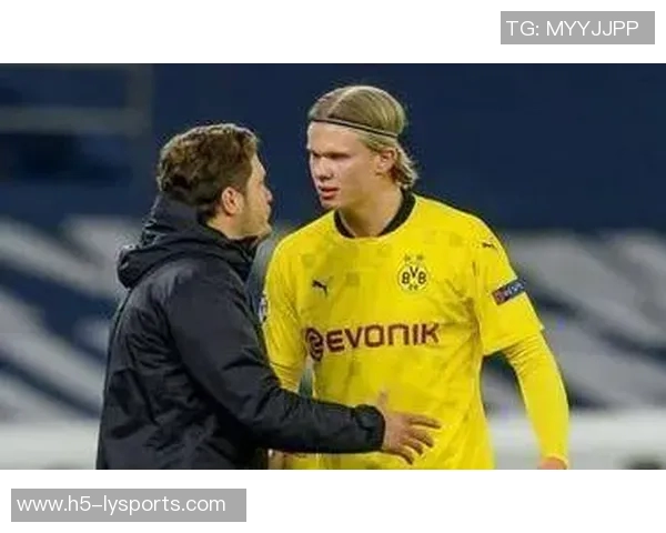 五大联赛11月进球榜揭晓B费领衔哈兰德姆巴佩紧随其后